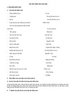 Soạn bài ôn tập phần tập làm văn