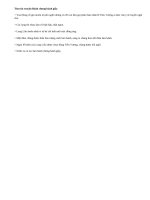 Tóm tắt truyện Bánh chưng bánh giầy