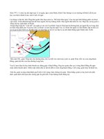 Cuộc kháng chiến chống quân Tống xâm lược lần thứ nhất ( Năm 981)