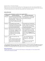 Câu 31: Chiến lược kinh tế của nhóm nước sáng lập Asean