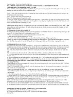 Bài 2: Phong trào Dân tộc dân chủ ở VN từ 1919  1925