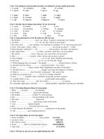 Đề thi học sinh giỏi Tiếng Anh 6- Đề 1