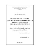 Tổ chức cho trẻ khám phá môi trường xung quanh thông qua giáo dục trải nghiệm theo quan điểm montessori