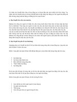 Có nhiều học thuyết khác nhau về tạo động lực và được tiếp cận dưới nhiều hình thức riêng