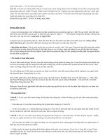 Câu 42: Phong trào đấu tranh GP dân tộc tiêu biểu ở Bắc Phi