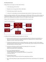 Học tập như một vận động viên