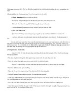 HSG Môn Sử 12: Cách mạng tháng tám 1945