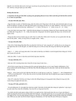 Câu 17: Phong trào giải phóng dân tộc trên thế giới từ 1945  cuối TK 20