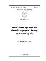 Nghiên cứu điều trị u trung thất bằng phẫu thuật nội soi lồng ngực tại bệnh viện Việt Đức