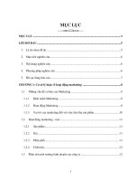 Nghiên cứu tình hình hoạt động marketing tại Viện đào tạo quốc tế truyền thông đa phương tiện FPT Arena