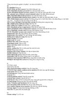 Tiếng Anh chuyên ngành ô tô ( M  P)