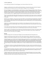 Topic 3: A visit to a famous city (Singapore)