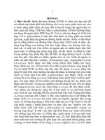 Nghiên cứu thu nhận hoạt chất kìm hãm α glucosidaza từ aspergillus oryzae và hướng ứng dụng