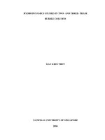 Hydrodynamics studies in two  and three phase bubble column