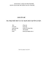 CHUYÊN đề MA TRẬN đề THI và các DẠNG bài tập ôn LUYỆN 