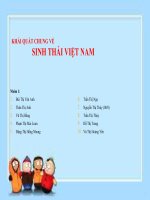 Khái quát chung về sinh thái việt nam