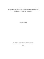 Housing market of a medium size city in china  a case of xiamen