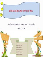 TÌM HIỂU VỀ NUCLEOTIT VÀ CÁC DẪN XUẤT CỦA NÓ.