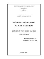 Nhóm abel hữu hạn sinh và phân tích nhóm