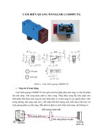 Cảm biến quang WENGLOR ( LM89PCT2)