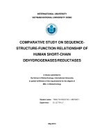 Comparatives study on sequence structure function relationship of human short  chain dehydrogenases reductases