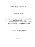 Khoá luận tốt nghiệp toán cấu trúc của tập nghiệm toán pareto yếu của bài toán tối ưu đa mục tiêu tuyến tính từng khúc trong không gian định chuẩn 