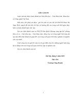 Tổng hợp và xác định các đặc trưng của selen kim loại kích thước nano sử dụng một số phương pháp tổng hợp xanh 