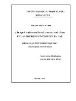 Các quá trình phân rã trong mô hình chuẩn hóa có tính đến u   hạt