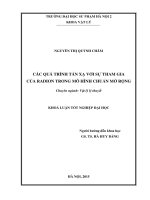 Các quá trình tán xạ với sự tham gia của radion trong mô hình chuẩn mở rộng