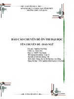 BÁO cáo CHUYÊN đề ôn THI đại học CHUYÊN đề  đảo NGỮ 