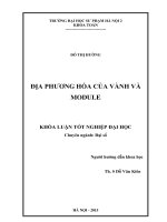 Địa phương hóa của vành và module