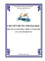 MỘT số vấn đề PHÁT TRIỂN và PHÂN bố các NGÀNH DỊCH vụ 