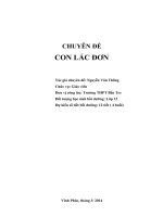 CHUYÊN đề CON lắc đơn 