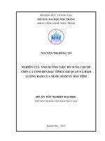 Nghiên cứu ảnh hưởng việc bổ sung chượp chín cá cơm đến đặc tính cảm quan và hàm lượng đạm của nước mắm từ đầu tôm