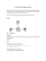 CCNA Lab - CME (Call Manager Express)