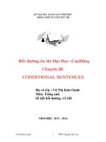 CHUYÊN đề ôn THI đh môn ANH  conditional sentences 