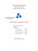 CÔNG NGHỆ SAU THU HOẠCH CÀ PHÊ