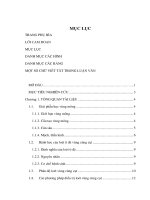 Kết quả sử dụng vạt da nhánh xuyên động mạch mông trên trong điều trị loét to vùng cùng cụt do tì đè