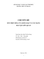 DÃY điện hóa của KIM LOẠI và các DẠNG bài tập LIÊN QUAN  