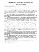 Chuyên đề  NGUYÊN NHÂN và cơ CHẾ TIẾN hóa 