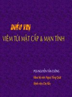 Bài giảng sỏi túi mật   viêm túi mật