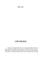 đồ án tốt nghiệp chi tiết máy