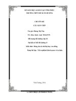 CHUYÊN đề câu GIÁN TIẾP 