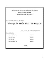 BÁO CÁO CÔNG NGHỆ SAU THU HOẠCH BẢO QUẢN THÓC SAU THU HOẠCH