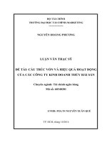 Luận văn thạc sĩ  cấu trúc vốn và hiệu quả hoạt động của các công ty kinh doanh thủy hải sản 