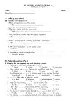 Đề kiểm tra 1 tiết tiếng anh 12