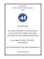 PHÁT TRIỂN DỊCH vụ NGÂN HÀNG bán lẻtại NGÂN HÀNG NÔNG NGHIỆP và PHÁT TRIỂN NÔNG THÔN VIỆT NAM CHI NHÁNH TỈNH QUẢNG TRỊ 
