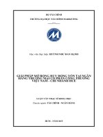 GIẢI PHÁP mở RỘNG HUY ĐỘNG vốn tại NGÂN HÀNG THƯƠNG mại cổ PHẦN CÔNG THƯƠNG VIỆT NAM CHI NHÁNH HUẾ 