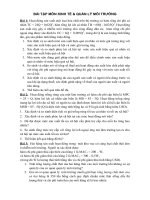 Bài tập Kinh tế quản lý môi trường