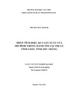 phân tích hiệu quả sản xuất của mô hình trồng hành tím tại thị xã vĩnh châu tỉnh sóc trăng